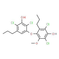 ChemSpider 2D Image | 2,6-Dichloro-4-(2,4-dichloro-3-hydroxy-5-propylphenoxy)-3-methoxy-5-propylphenol | C19H20Cl4O4