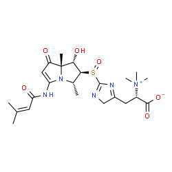 ChemSpider 2D Image | (2S)-3-{2-[(S)-{(1S,2S,3S,7aS)-1-Hydroxy-3,7a-dimethyl-5-[(3-methyl-2-butenoyl)amino]-7-oxo-2,3,7,7a-tetrahydro-1H-pyrrolizin-2-yl}sulfinyl]-4H-imidazol-5-yl}-2-(trimethylammonio)propanoate | C23H33N5O6S