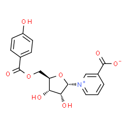 ChemSpider 2D Image | 1-[5-O-(4-Hydroxybenzoyl)-alpha-D-ribofuranosyl]-3-pyridiniumcarboxylate | C18H17NO8