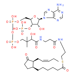 ChemSpider 2D Image | OPC6-CoA | C37H60N7O18P3S