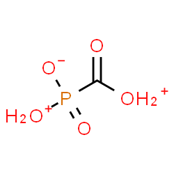 ChemSpider 2D Image | Oxonio(oxoniocarbonyl)phosphinate | CH4O5P