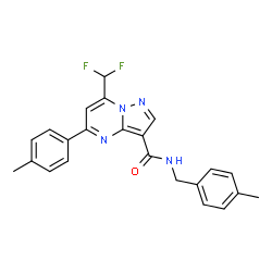 ChemSpider 2D Image | 7-(Difluoromethyl)-N-(4-methylbenzyl)-5-(4-methylphenyl)pyrazolo[1,5-a]pyrimidine-3-carboxamide | C23H20F2N4O