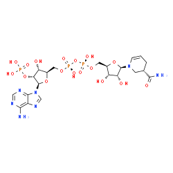 ChemSpider 2D Image | [[(2R,3R,4R,5R)-5-(6-aminopurin-9-yl)-3-hydroxy-4-phosphonooxy-tetrahydrofuran-2-yl]methoxy-hydroxy-phosphoryl] [(2R,3S,4R,5R)-5-[(3S)-3-carbamoyl-3,4-dihydro-2H-pyridin-1-yl]-3,4-dihydroxy-tetrahydrofuran-2-yl]methyl hydrogen phosphate | C21H32N7O17P3