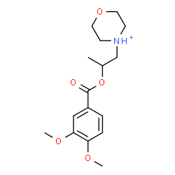 ChemSpider 2D Image | 4-{2-[(3,4-Dimethoxybenzoyl)oxy]propyl}morpholin-4-ium | C16H24NO5