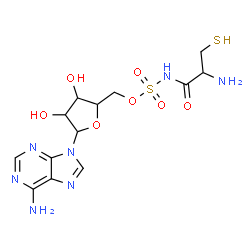 ChemSpider 2D Image | [5-(6-Amino-9H-purin-9-yl)-3,4-dihydroxytetrahydro-2-furanyl]methyl (2-amino-3-sulfanylpropanoyl)sulfamate | C13H19N7O7S2