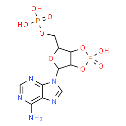 ChemSpider 2D Image | [6-(6-Amino-9H-purin-9-yl)-2-hydroxy-2-oxidotetrahydrofuro[3,4-d][1,3,2]dioxaphosphol-4-yl]methyl dihydrogen phosphate | C10H13N5O9P2