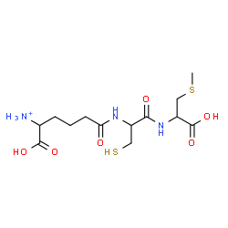 ChemSpider 2D Image | N-(5-Ammonio-5-carboxypentanoyl)cysteinyl-S-methylcysteine | C13H24N3O6S2