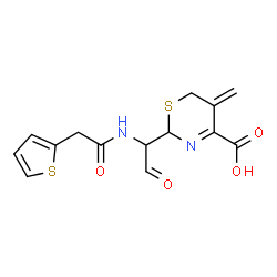 ChemSpider 2D Image | 5-Methylene-2-{2-oxo-1-[(2-thienylacetyl)amino]ethyl}-5,6-dihydro-2H-1,3-thiazine-4-carboxylic acid | C14H14N2O4S2
