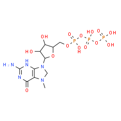 ChemSpider 2D Image | 2-Amino-9-[5-O-(hydroxy{[hydroxy(phosphonooxy)phosphoryl]oxy}phosphoryl)pentofuranosyl]-7-methyl-3,7,8,9-tetrahydro-6H-purin-6-one | C11H20N5O14P3