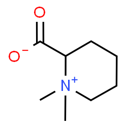 ChemSpider 2D Image | homostachydrine | C8H15NO2