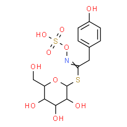 ChemSpider 2D Image | 1-S-[2-(4-Hydroxyphenyl)-N-(sulfooxy)ethanimidoyl]-1-thiohexopyranose | C14H19NO10S2