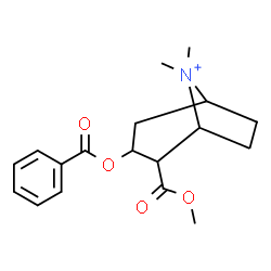 ChemSpider 2D Image | 3-(Benzoyloxy)-2-(methoxycarbonyl)-8,8-dimethyl-8-azoniabicyclo[3.2.1]octane | C18H24NO4