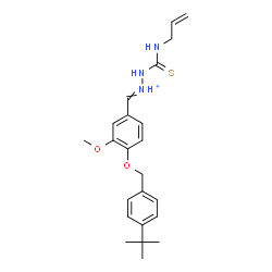 ChemSpider 2D Image | 2-(Allylcarbamothioyl)-1-(3-methoxy-4-{[4-(2-methyl-2-propanyl)benzyl]oxy}benzylidene)hydrazinium | C23H30N3O2S