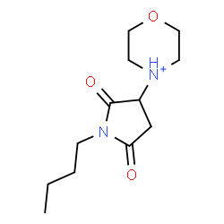 ChemSpider 2D Image | 4-(1-Butyl-2,5-dioxo-3-pyrrolidinyl)morpholin-4-ium | C12H21N2O3