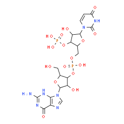 ChemSpider 2D Image | [5-(2-amino-6-oxo-3H-purin-9-yl)-4-hydroxy-2-(hydroxymethyl)tetrahydrofuran-3-yl] [5-(2,4-dioxopyrimidin-1-yl)-4-hydroxy-3-phosphonooxy-tetrahydrofuran-2-yl]methyl hydrogen phosphate | C19H25N7O16P2