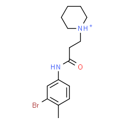 ChemSpider 2D Image | 1-{3-[(3-Bromo-4-methylphenyl)amino]-3-oxopropyl}piperidinium | C15H22BrN2O