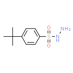 ChemSpider 2D Image | 4-tert-Butylbenzenesulfonohydrazide | C10H16N2O2S
