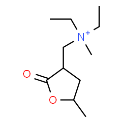 ChemSpider 2D Image | N-Ethyl-N-methyl-N-[(5-methyl-2-oxotetrahydro-3-furanyl)methyl]ethanaminium | C11H22NO2