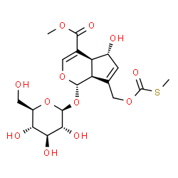 ChemSpider 2D Image | Methyl (1S,4aS,5R,7aS)-1-(beta-D-glucopyranosyloxy)-5-hydroxy-7-({[(methylsulfanyl)carbonyl]oxy}methyl)-1,4a,5,7a-tetrahydrocyclopenta[c]pyran-4-carboxylate | C19H26O12S