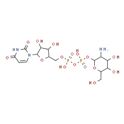 ChemSpider 2D Image | 3-Amino-4,5-dihydroxy-6-(hydroxymethyl)tetrahydro-2H-pyran-2-yl [5-(2,4-dioxo-3,4-dihydro-1(2H)-pyrimidinyl)-3,4-dihydroxytetrahydro-2-furanyl]methyl dihydrogen diphosphate | C15H25N3O16P2