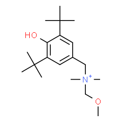 ChemSpider 2D Image | [4-Hydroxy-3,5-bis(2-methyl-2-propanyl)phenyl]-N-(methoxymethyl)-N,N-dimethylmethanaminium | C19H34NO2