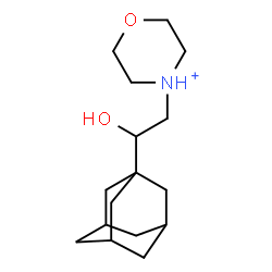 ChemSpider 2D Image | 4-[2-(Adamantan-1-yl)-2-hydroxyethyl]morpholin-4-ium | C16H28NO2