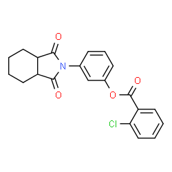 ChemSpider 2D Image | 3-(1,3-dioxo-hexahydroisoindol-2-yl)phenyl 2-chlorobenzoate | C21H18ClNO4
