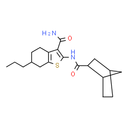 ChemSpider 2D Image | 2-[(Bicyclo[2.2.1]hept-2-ylcarbonyl)amino]-6-propyl-4,5,6,7-tetrahydro-1-benzothiophene-3-carboxamide | C20H28N2O2S