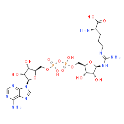 ChemSpider 2D Image | (2S)-2-Amino-5-[(E)-(amino{[(2R,3R,4S,5R)-5-({[{[{[(2R,3S,4R,5R)-5-(6-amino-9H-purin-9-yl)-3,4-dihydroxytetrahydro-2-furanyl]methoxy}(hydroxy)phosphoryl]oxy}(hydroxy)phosphoryl]oxy}methyl)-3,4-dihydro
xytetrahydro-2-furanyl]amino}methylene)amino]pentanoic acid | C21H35N9O15P2
