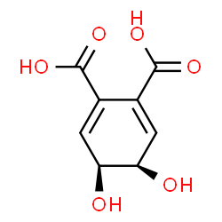 ChemSpider 2D Image | 1,2-dicarboxy-cis-4,5-dihydroxycyclohexa-2,6-diene | C8H8O6