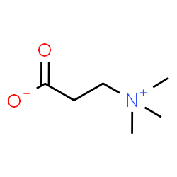 ChemSpider 2D Image | Î²-Alanine betaine | C6H13NO2