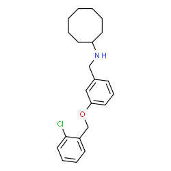 ChemSpider 2D Image | N-{3-[(2-Chlorobenzyl)oxy]benzyl}cyclooctanamine | C22H28ClNO