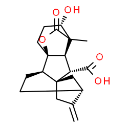 ChemSpider 2D Image | (1R,2R,5R,8R,9S,10R,12S)-12-Hydroxy-11-methyl-6-methylene-16-oxo-15-oxapentacyclo[9.3.2.1~5,8~.0~1,10~.0~2,8~]heptadecane-9-carboxylic acid | C19H24O5