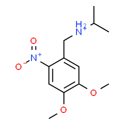 ChemSpider 2D Image | N-(4,5-Dimethoxy-2-nitrobenzyl)-2-propanaminium | C12H19N2O4