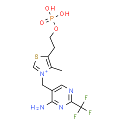 ChemSpider 2D Image | 3-{[4-Amino-2-(trifluoromethyl)-5-pyrimidinyl]methyl}-4-methyl-5-[2-(phosphonooxy)ethyl]-1,3-thiazol-3-ium | C12H15F3N4O4PS