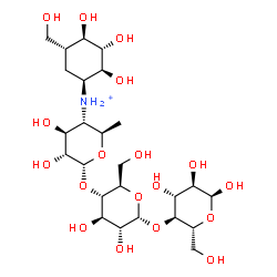 ChemSpider 2D Image | 4,6-Dideoxy-4-{[(1S,2S,3S,4R,5R)-2,3,4-trihydroxy-5-(hydroxymethyl)cyclohexyl]ammonio}-alpha-D-glucopyranosyl-(1->4)-alpha-D-glucopyranosyl-(1->4)-alpha-D-glucopyranose | C25H46NO18