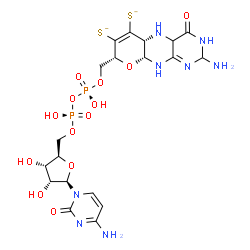 ChemSpider 2D Image | 5'-O-[(S)-{[(S)-{[(5aR,8R,9aR)-2-Amino-4-oxo-6,7-disulfido-3,4,4a,5,5a,8,9a,10-octahydro-2H-pyrano[3,2-g]pteridin-8-yl]methoxy}(hydroxy)phosphoryl]oxy}(hydroxy)phosphoryl]cytidine | C19H26N8O13P2S2