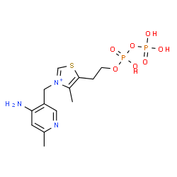 ChemSpider 2D Image | 3-[(4-Amino-6-methyl-3-pyridinyl)methyl]-5-(2-{[hydroxy(phosphonooxy)phosphoryl]oxy}ethyl)-4-methyl-1,3-thiazol-3-ium | C13H20N3O7P2S