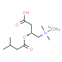 ChemSpider 2D Image | (2R)-3-Carboxy-N,N-dimethyl-N-(~11~C)methyl-2-[(3-methylbutanoyl)oxy]-1-propanaminium | C1111CH24NO4