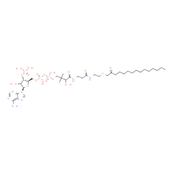 ChemSpider 2D Image | [(2R,3S,4R,5R)-5-(6-Amino-9H-purin-9-yl)-4-hydroxy-3-(phosphonooxy)tetrahydro-2-furanyl]methyl 3-hydroxy-2,2-dimethyl-4-oxo-4-{[3-oxo-3-({2-[(2-oxopentadecyl)sulfanyl]ethyl}amino)propyl]amino}butyl di
hydrogen diphosphate | C36H64N7O17P3S