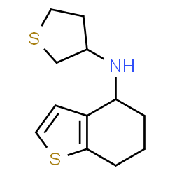 ChemSpider 2D Image | N-(Tetrahydro-3-thiophenyl)-4,5,6,7-tetrahydro-1-benzothiophen-4-amine | C12H17NS2