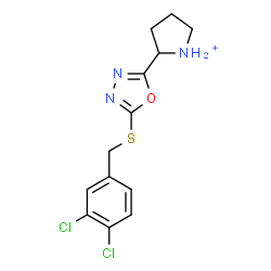 ChemSpider 2D Image | 2-{5-[(3,4-Dichlorobenzyl)sulfanyl]-1,3,4-oxadiazol-2-yl}pyrrolidinium | C13H14Cl2N3OS