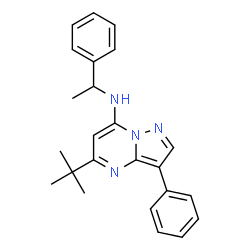 ChemSpider 2D Image | 5-(2-Methyl-2-propanyl)-3-phenyl-N-(1-phenylethyl)pyrazolo[1,5-a]pyrimidin-7-amine | C24H26N4