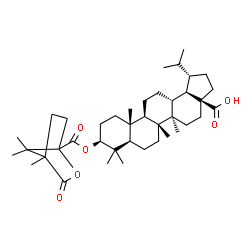 ChemSpider 2D Image | (3beta)-3-{[(4,7,7-Trimethyl-3-oxo-2-oxabicyclo[2.2.1]hept-1-yl)carbonyl]oxy}lupan-28-oic acid | C40H62O6