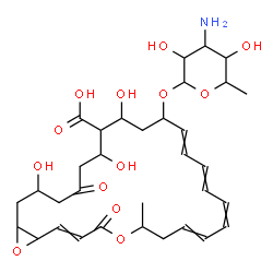 ChemSpider 2D Image | 16-[(3-Amino-3,6-dideoxyhexopyranosyl)oxy]-18,20,24-trihydroxy-6-methyl-4,22-dioxo-5,27-dioxabicyclo[24.1.0]heptacosa-2,8,10,12,14-pentaene-19-carboxylic acid | C33H47NO13