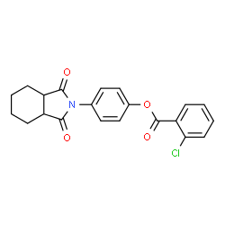 ChemSpider 2D Image | 4-(1,3-Dioxooctahydro-2H-isoindol-2-yl)phenyl 2-chlorobenzoate | C21H18ClNO4