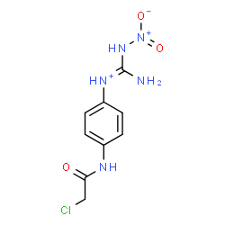 ChemSpider 2D Image | (E)-Amino-N-{4-[(chloroacetyl)amino]phenyl}(nitroamino)methaniminium | C9H11ClN5O3