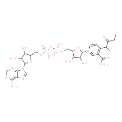 ChemSpider 2D Image | [[5-(6-aminopurin-9-yl)-3,4-dihydroxy-tetrahydrofuran-2-yl]methoxy-hydroxy-phosphoryl] [5-[3-carbamoyl-4-(1-methyl-2-oxo-butyl)pyridin-1-ium-1-yl]-3,4-dihydroxy-tetrahydrofuran-2-yl]methyl phosphate | C26H35N7O15P2