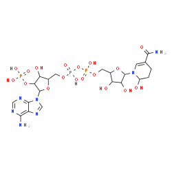 ChemSpider 2D Image | [[5-(6-aminopurin-9-yl)-3-hydroxy-4-phosphonooxy-tetrahydrofuran-2-yl]methoxy-hydroxy-phosphoryl] [5-(5-carbamoyl-2-hydroxy-3,4-dihydro-2H-pyridin-1-yl)-3,4-dihydroxy-tetrahydrofuran-2-yl]methyl hydrogen phosphate | C21H32N7O18P3