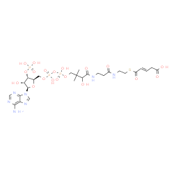 ChemSpider 2D Image | (20E)-1-[(2R,3S,4R,5R)-5-(6-Amino-9H-purin-9-yl)-4-hydroxy-3-(phosphonooxy)tetrahydro-2-furanyl]-3,5,9-trihydroxy-8,8-dimethyl-10,14,19-trioxo-2,4,6-trioxa-18-thia-11,15-diaza-3,5-diphosphatricos-20-e
n-23-oic acid 3,5-dioxide | C26H40N7O19P3S